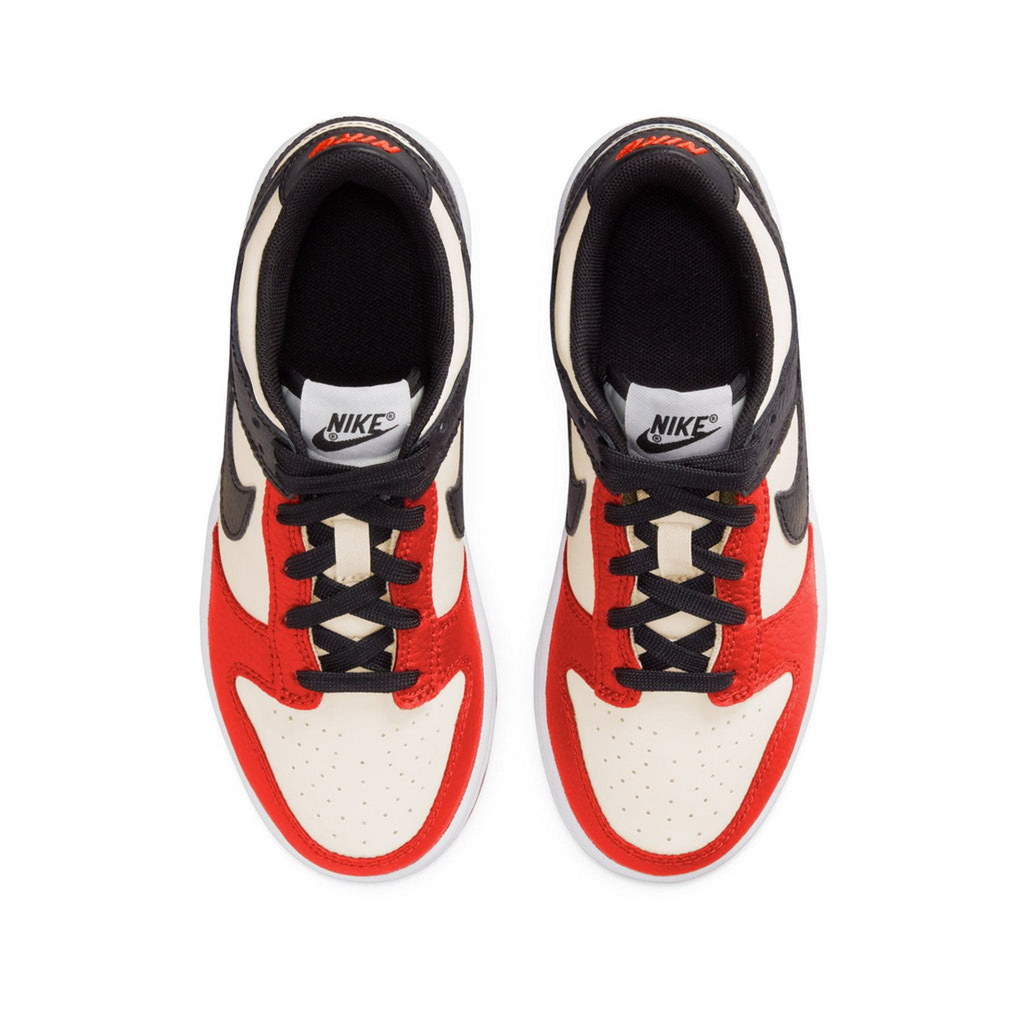 Nike Dunk Low EMB